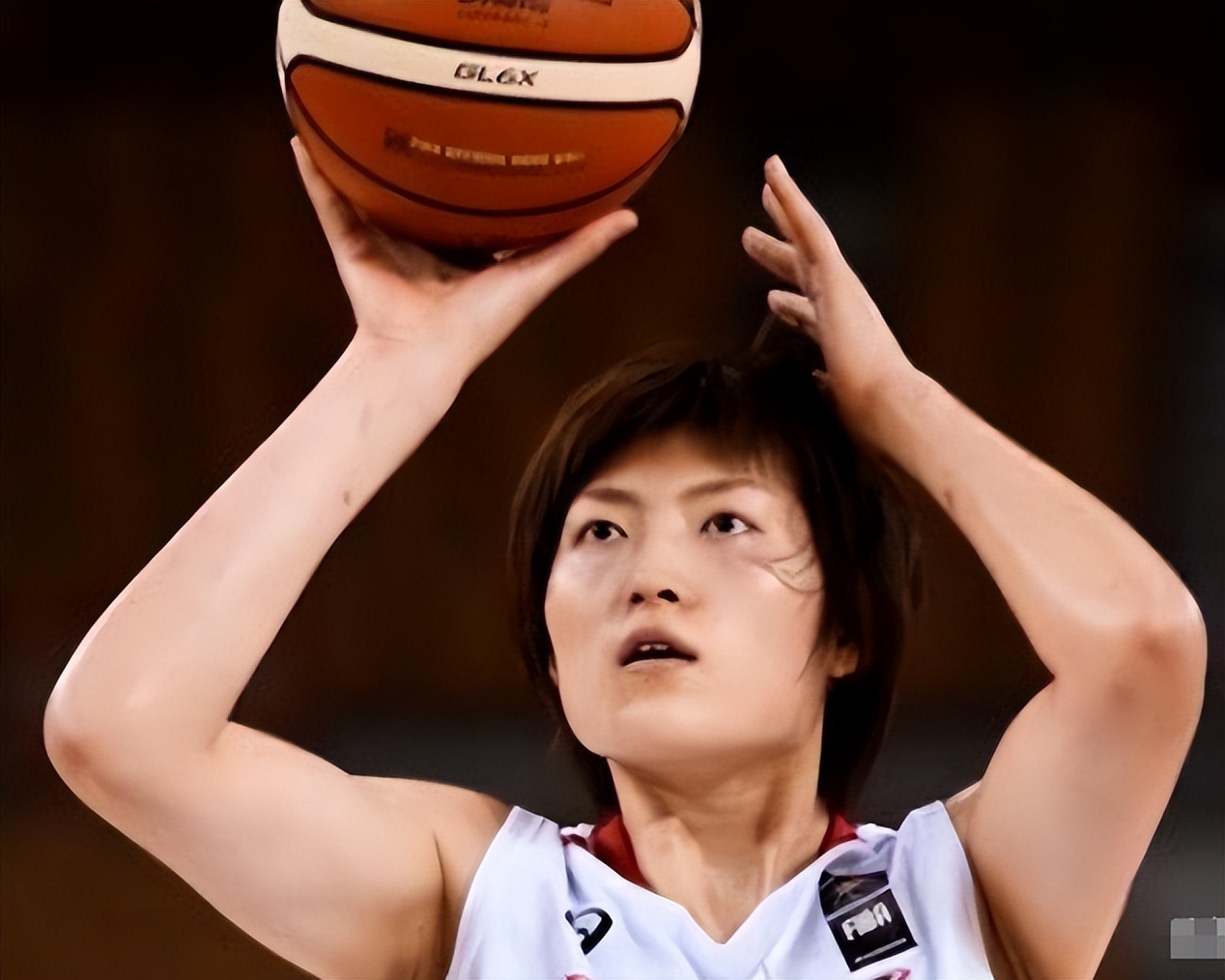 篮球王岑静祖籍哪里,日本女篮王岑静年薪