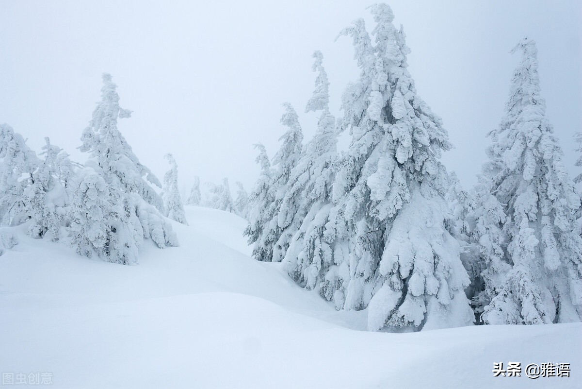 好久不见甚是想念完整版,好久不见甚是想念美文