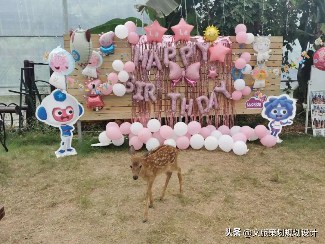 布布熊生态农场帐篷,布布熊生态农场最新视频