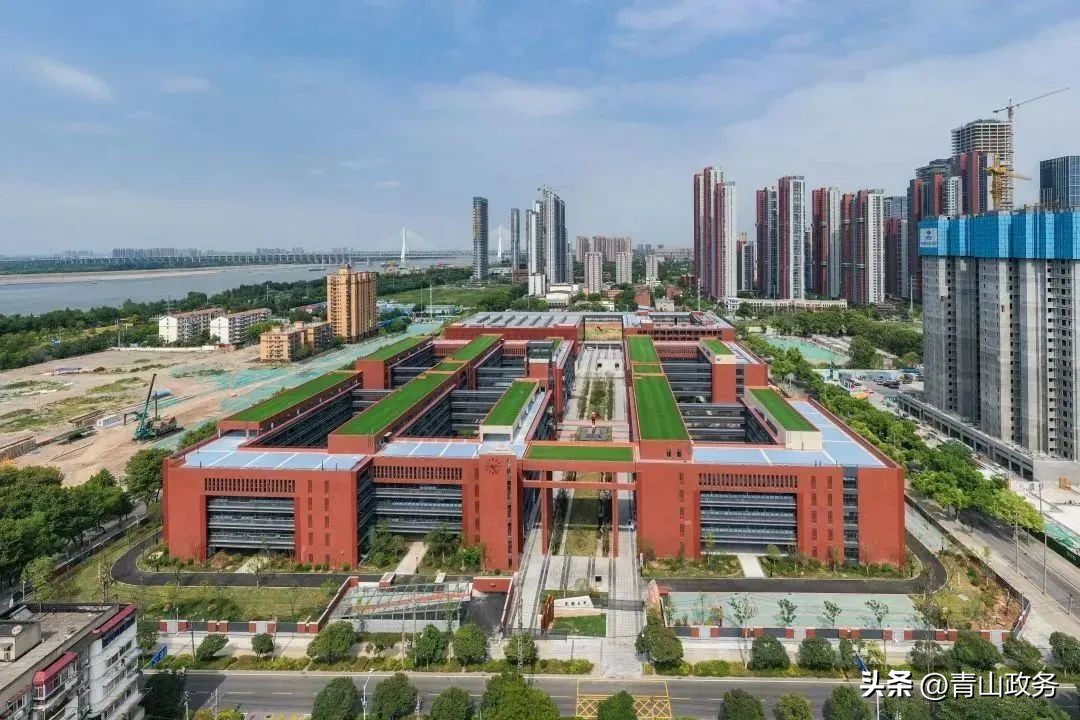 闈掑北鏁欒偛瑙嗛,闈掑北鏁欒偛浠嬬粛