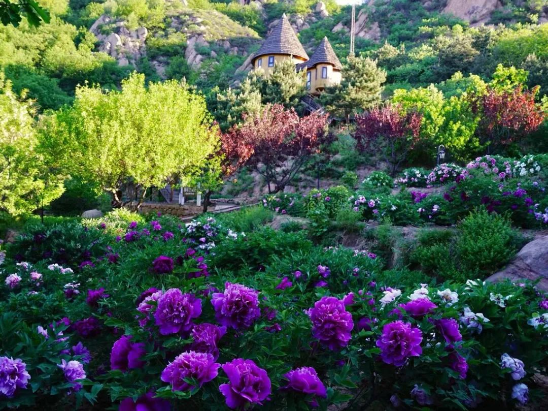 北京市密云区云峰山森林康养基地,北京密云康养基地