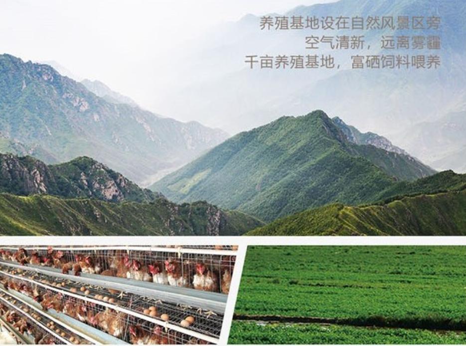 鸡富含硒元素,富硒鸡硒含量