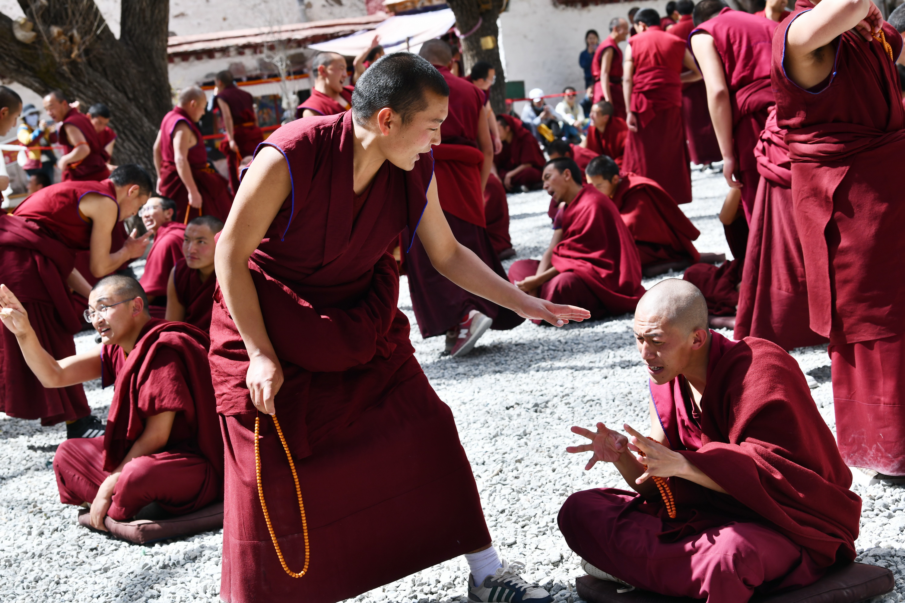 我的林芝一日游攻略,林芝看桃花西藏之旅