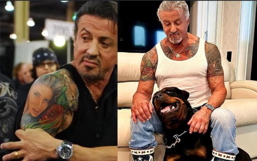 74岁史泰龙近照曝光,史泰龙身上的纹身改成狗头