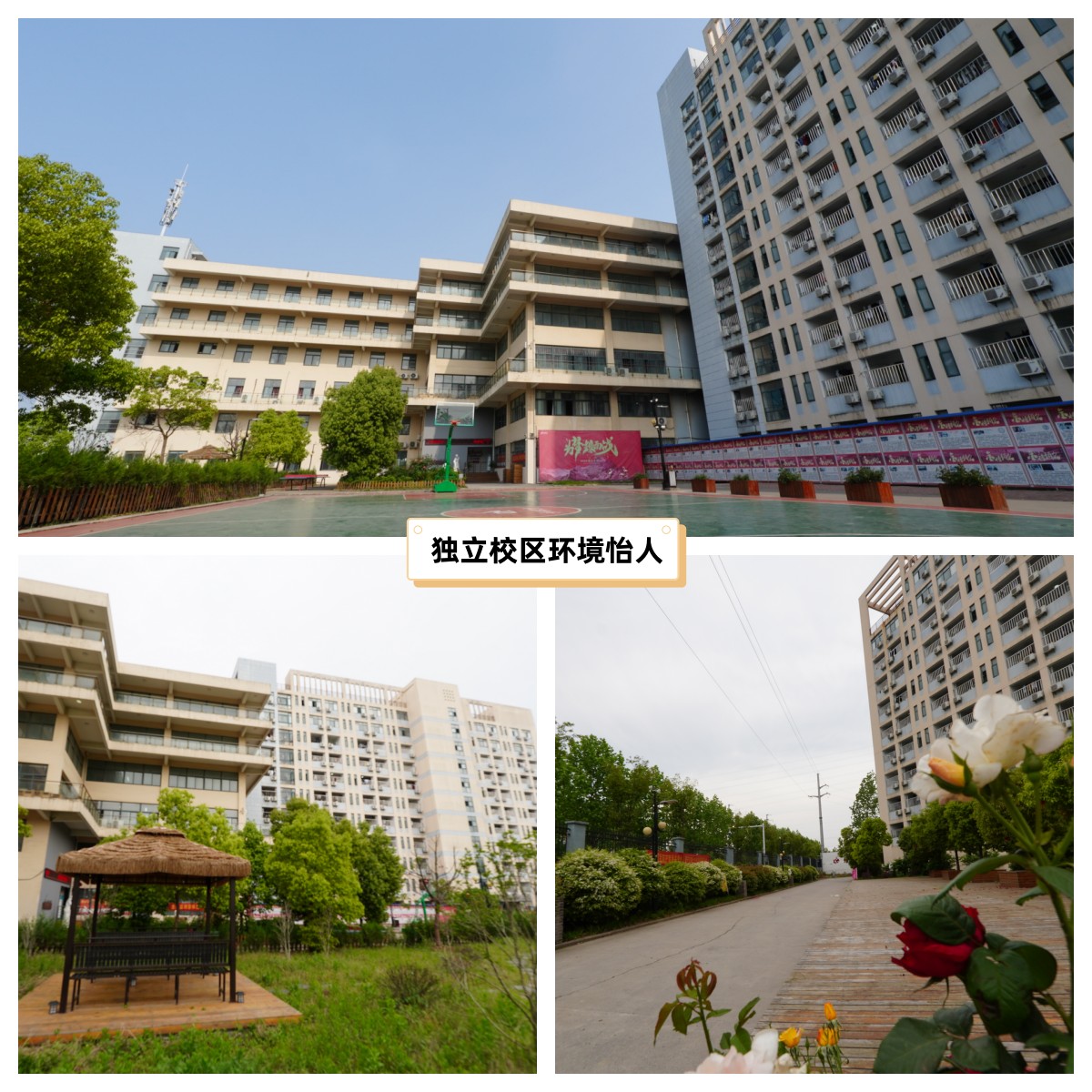 合肥新文道考研靠谱吗,合肥新文道考研真的靠谱吗