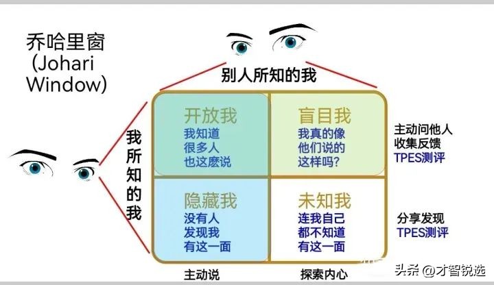 想当教练一定要有过职业生涯吗,职业生涯教练是什么