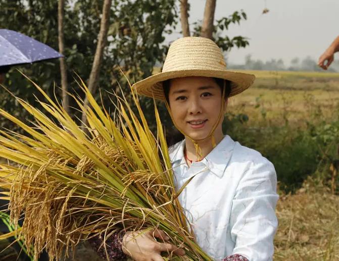 女人手指细长怎么个说法,为什么说女人手指短不缺吃喝穿