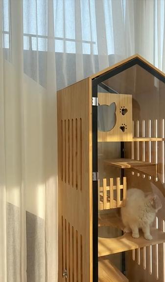 富家千金大小姐程晓玥,程晓玥富家千金