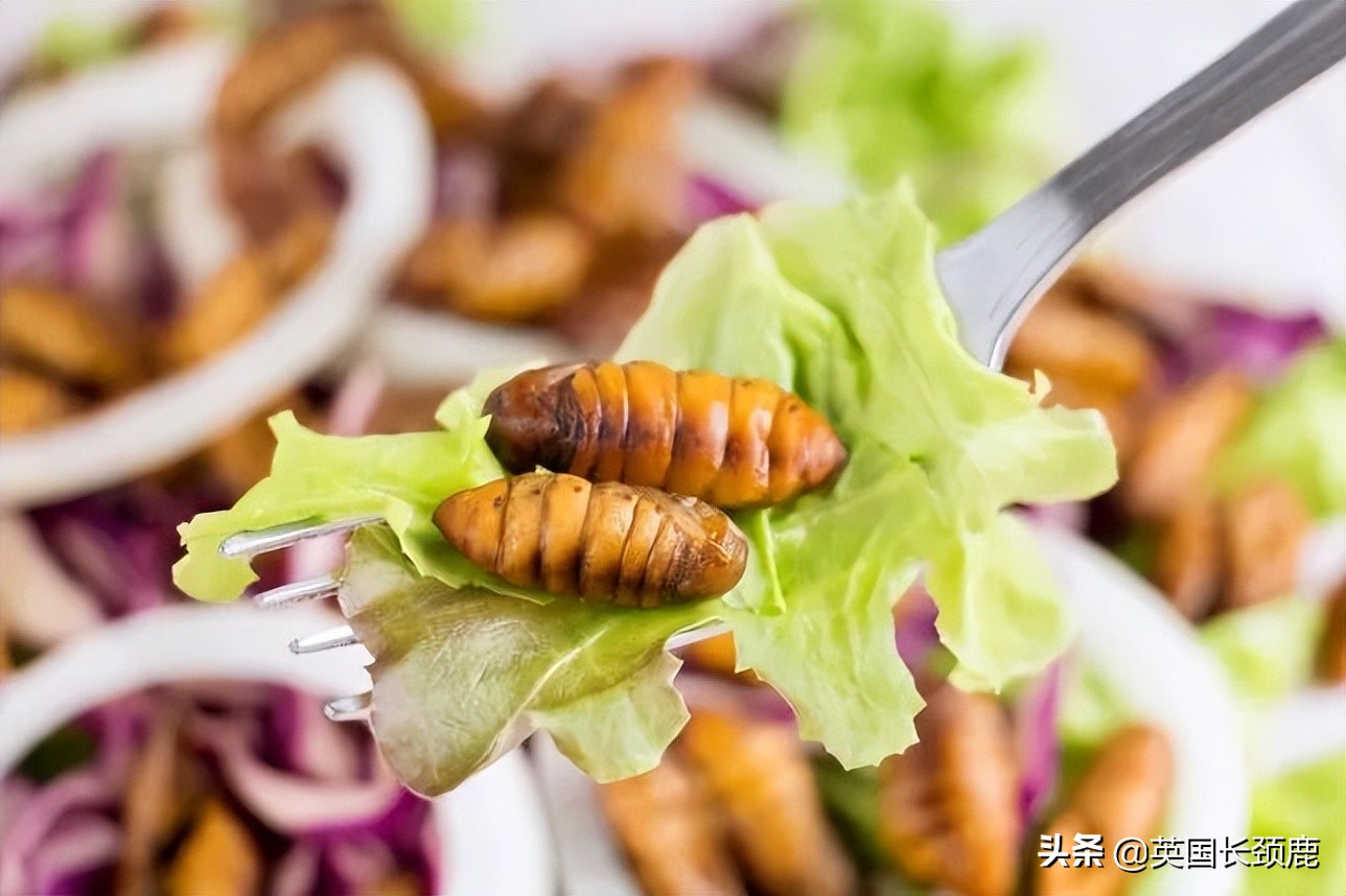 女王伊丽莎白珍贵影像,英国女王珍贵影像