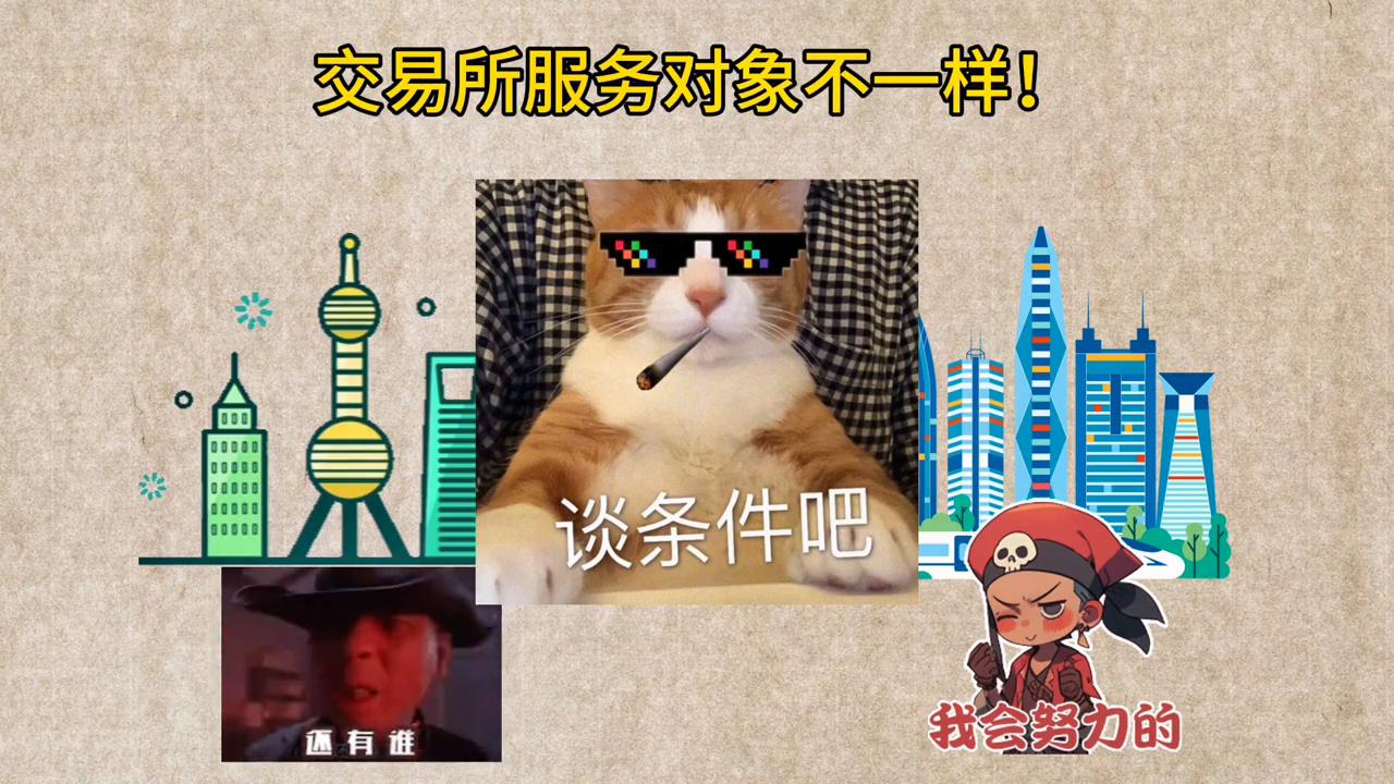 什么是证券公司的交易所,证券交易所是什么公司