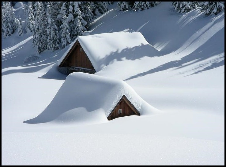 如何使用ai自动写作文,如何使用ai写论文