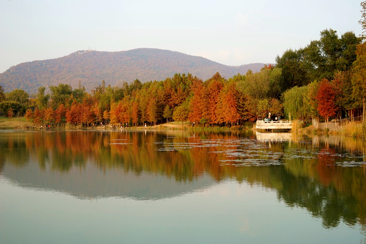 江苏的25个5a景区是哪些,江苏最值得去的几个旅游景点