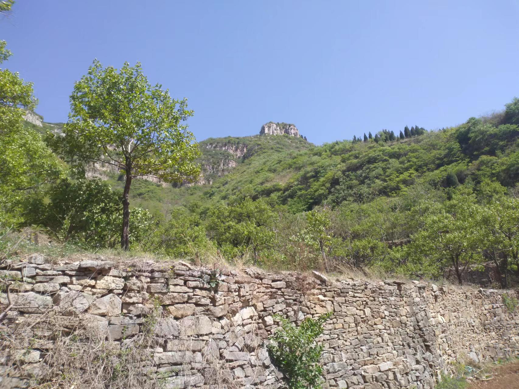 临朐自然美,临朐新美丽