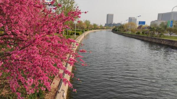 “光阴的故事”之十天津高新区：打造充满活力的幸福之城