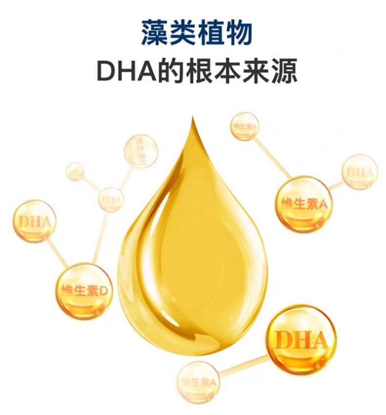 婴儿什么时候开始吃DHA,新生儿多久开始补充dha