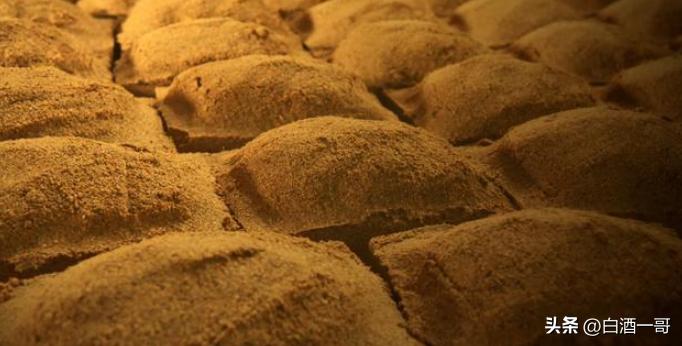 江小白第二季评价,江小白真实吐槽