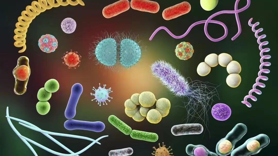 为什么日本女人妇科病少啊,为什么日本女性很少得妇科病