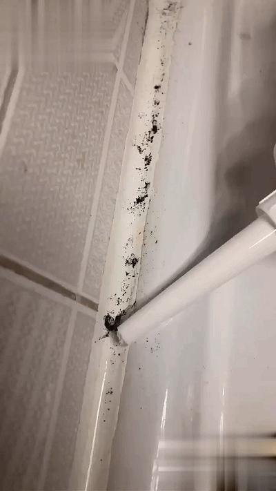 18楼顶层到底能不能买西户,为什么一楼顶楼不能买