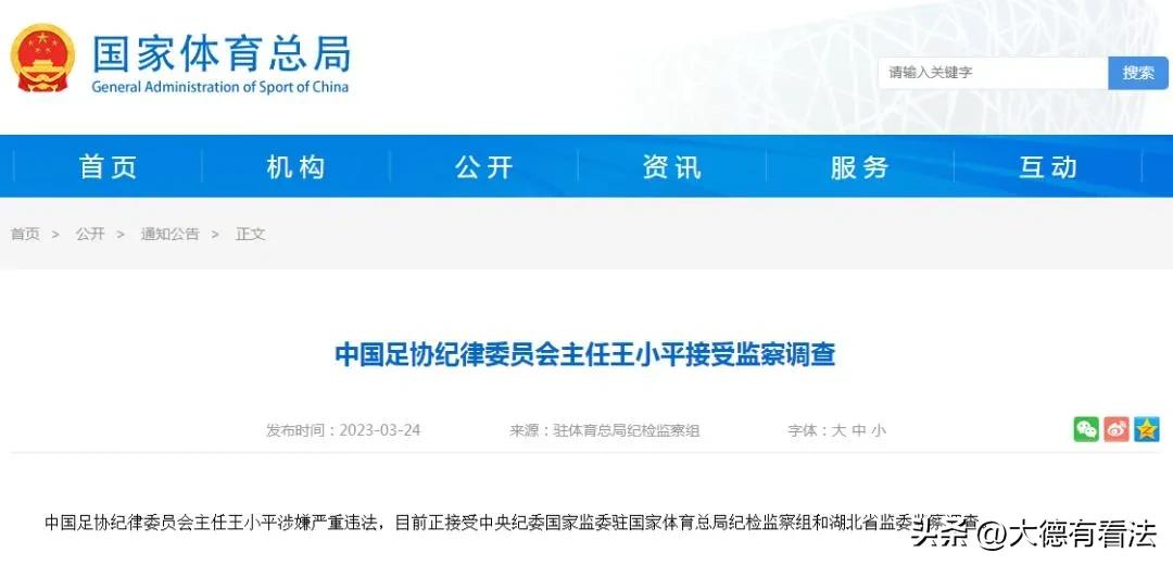 足协高层王小平,足协主任王小平