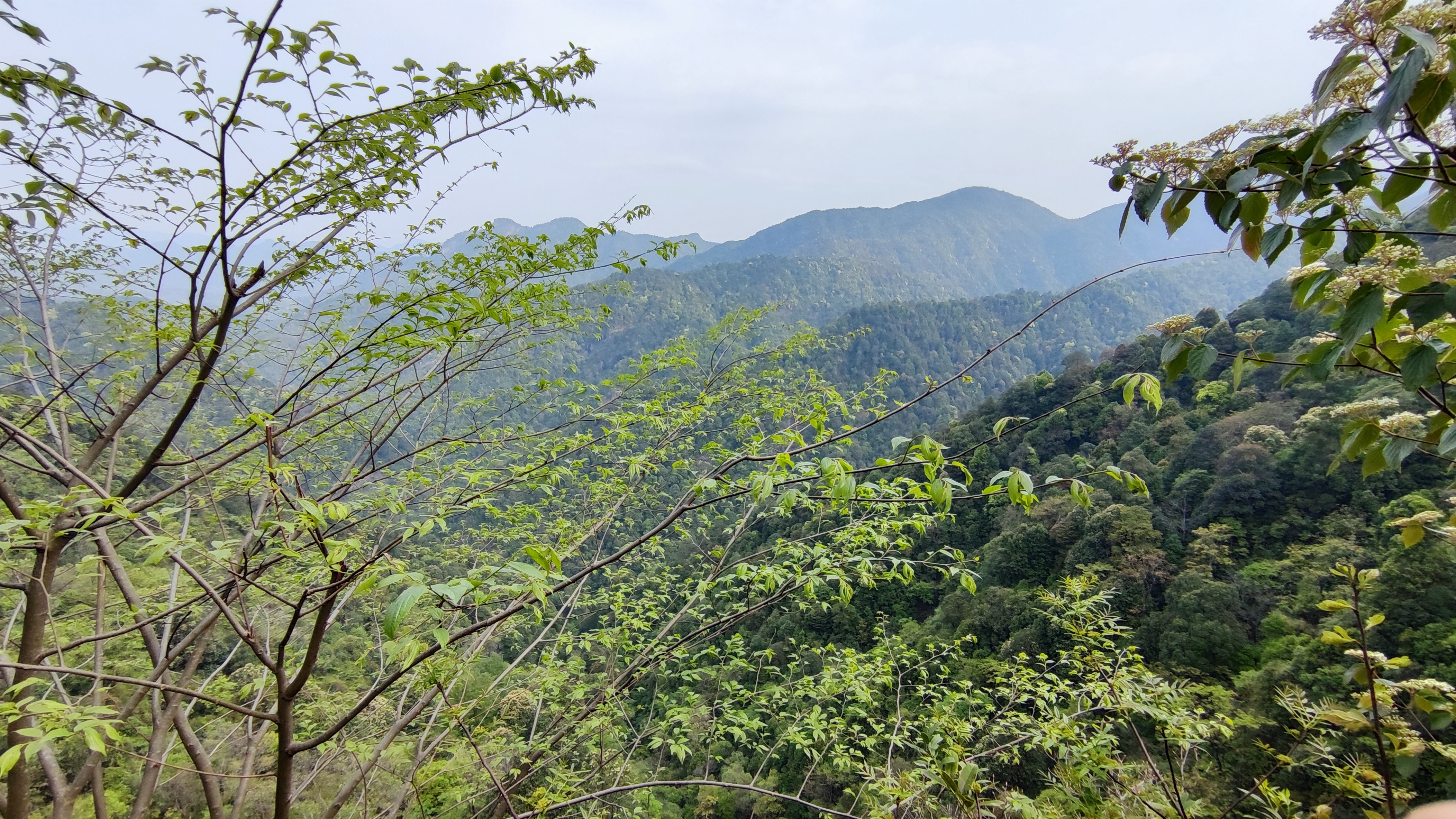 饮水思源的水是什么水,饮水思源的源怎么写