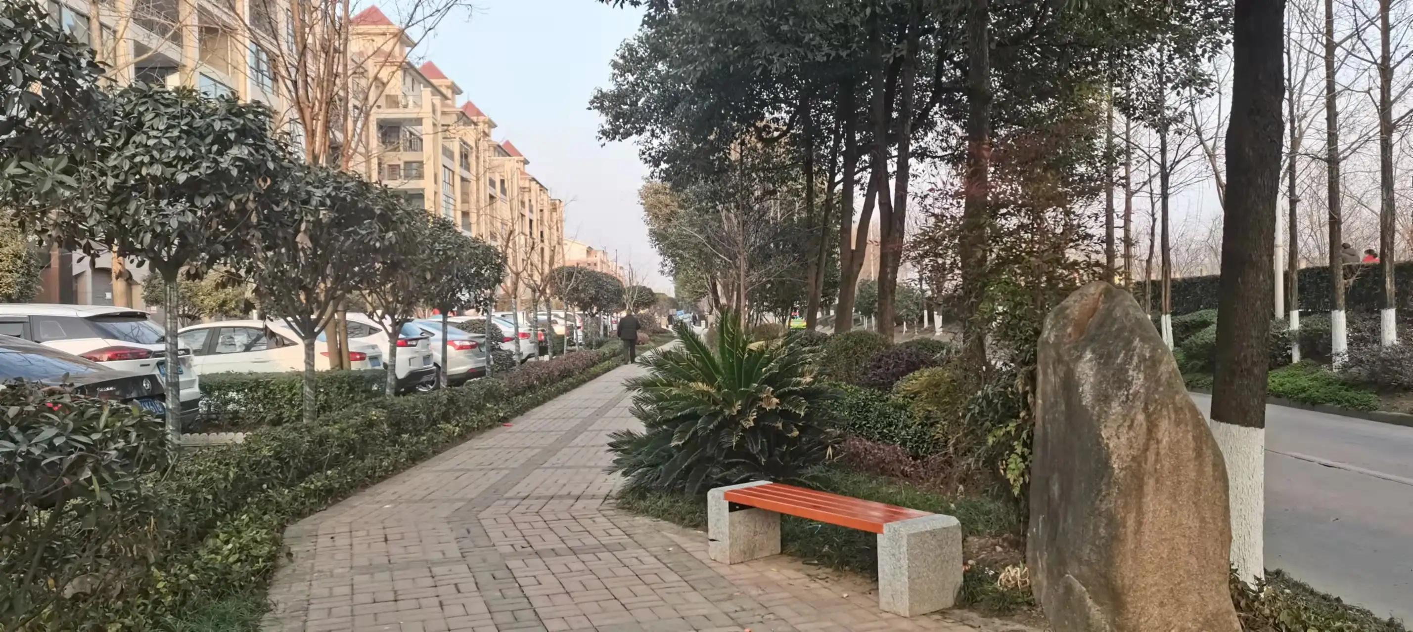 下岗女工去做保姆——陪雇主买鱼（23）