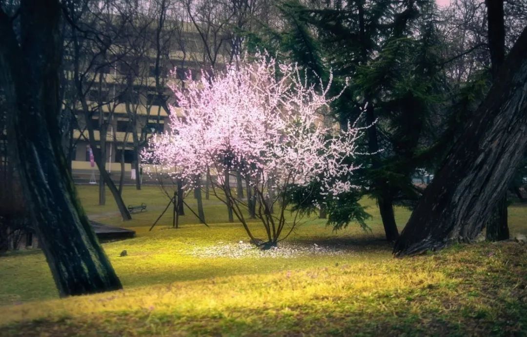 数字+干货，选择大连理工的8大理由！欢迎电联！