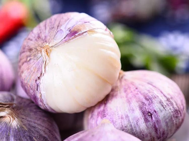 中国国家地理标志怎么申请,中国国家地理标志标识