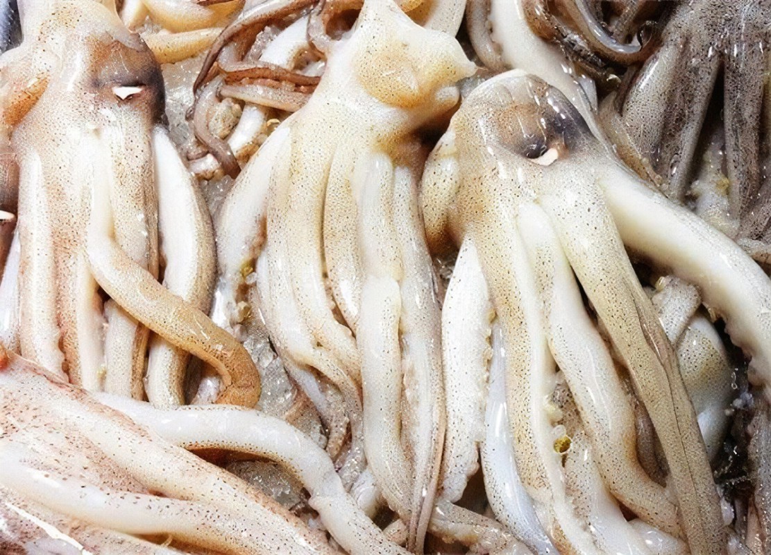 日照海鲜攻略指南本地人吐血整理,全方面解析日照海鲜攻略收藏版