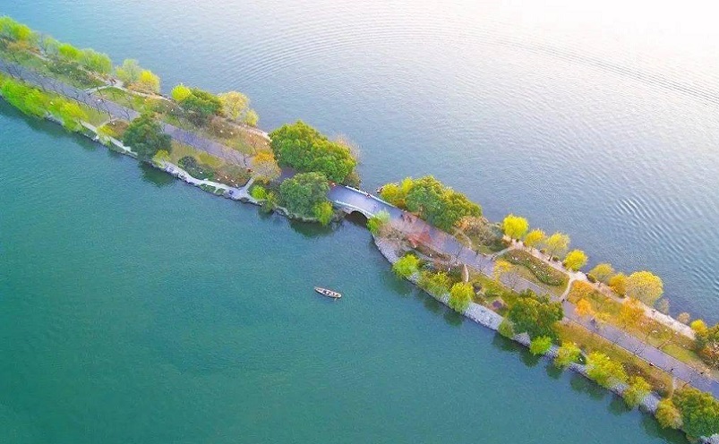 杭州旅游必去十大景点推荐一下,杭州看花好去处杭州网红景点