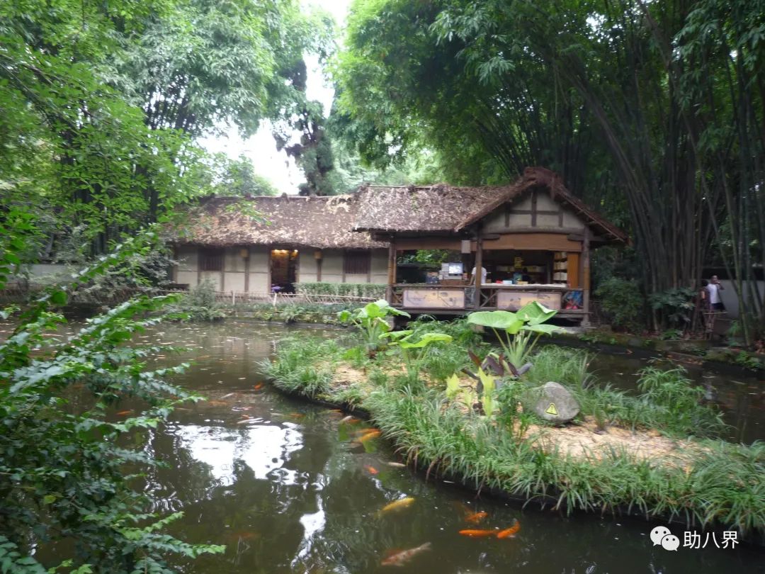 成都高新区景点打卡,成都网红桥打卡景点