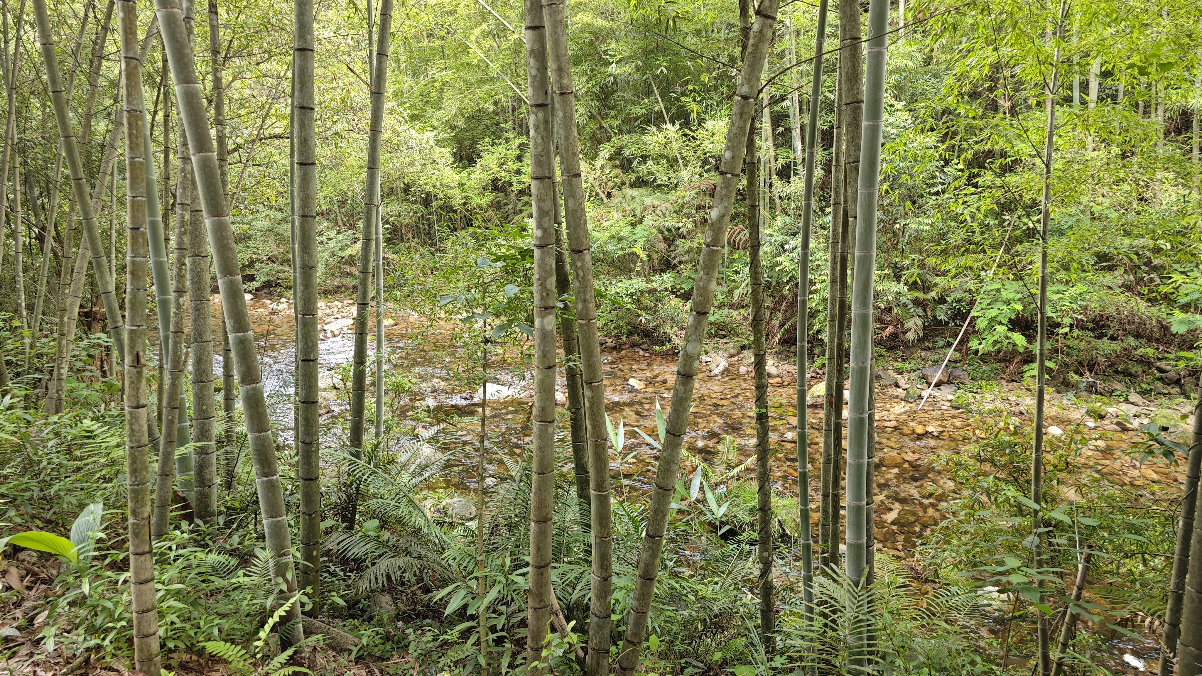 惠州夏日避暑胜地南昆山,惠州南昆山溯溪玩水的地方