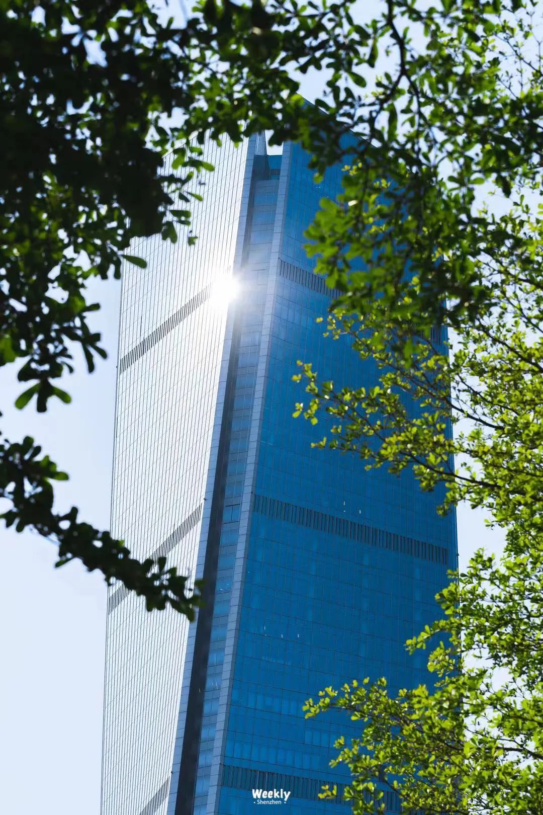 从深圳出发的特种兵一日游,特种兵式旅游深圳出发