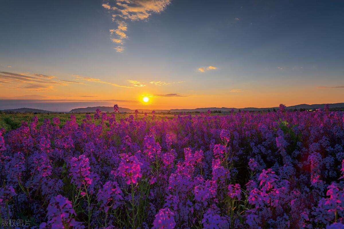 男女暧昧的具体行为有哪些,男女之间哪些行为可以断定是暧昧