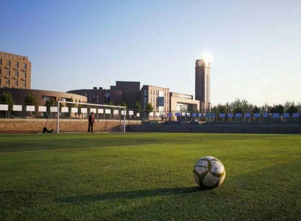 山东高考志愿填报最好专业,山东高考志愿填报专业及录取