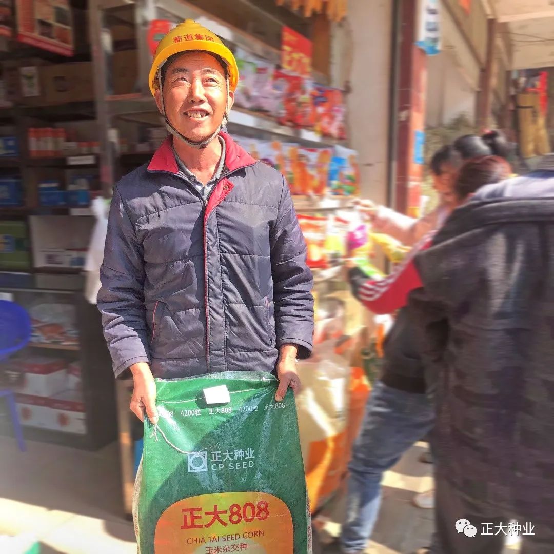 正大808玉米种子怎么样,正大808玉米和迪卡008哪个高产