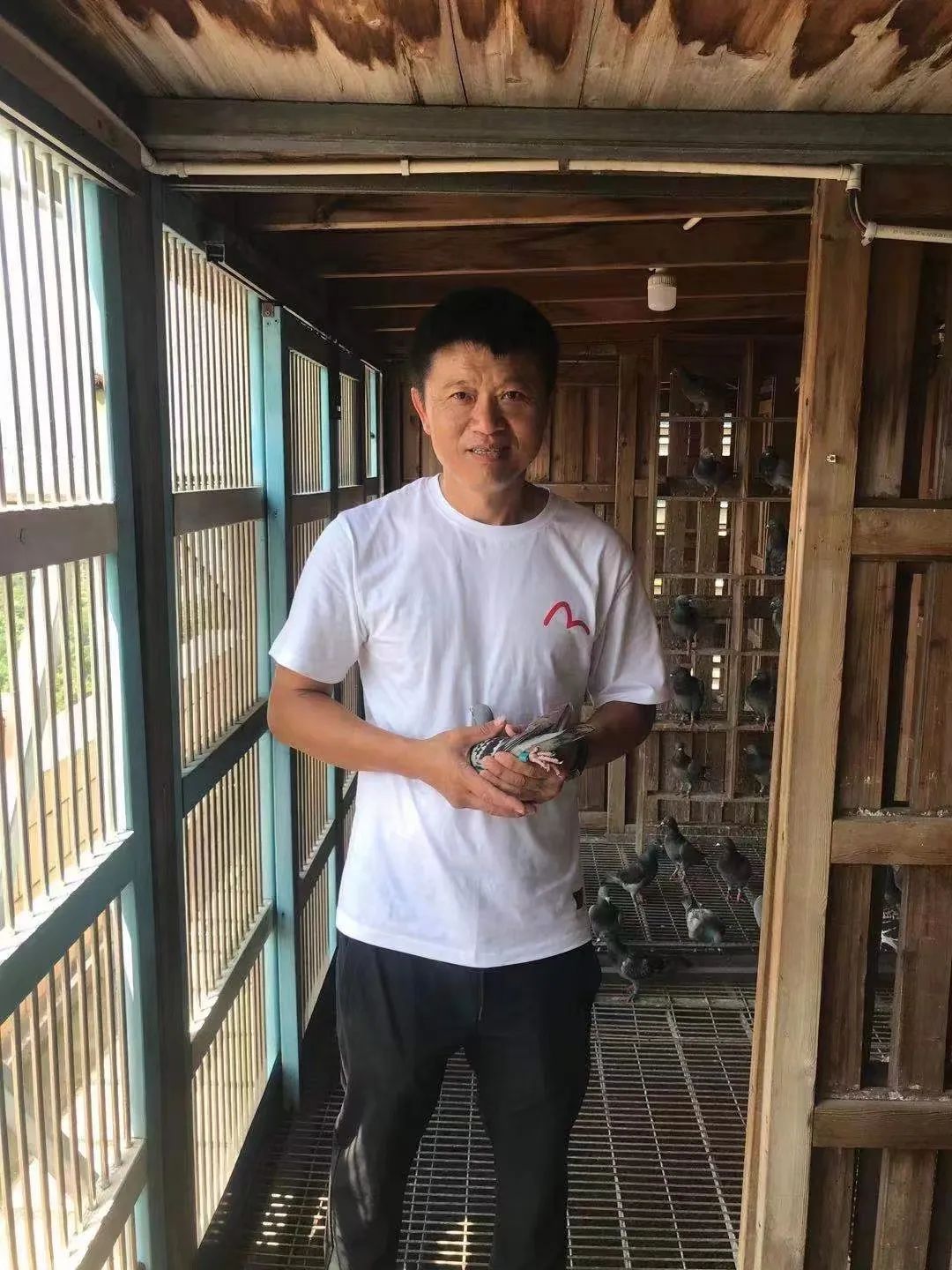 陋棚一样可以飞出“飞龙荣耀杯”13760羽总冠军，王志杭夺得亚军