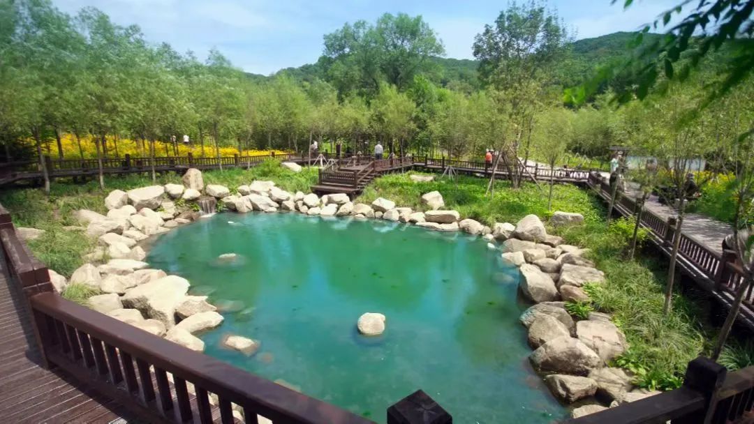 性价比超高的出行的地方,性价比更高最美景点推荐