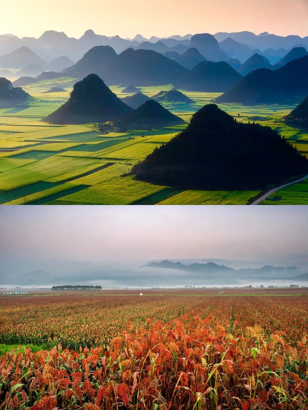 云南小曲清香型,云南小曲