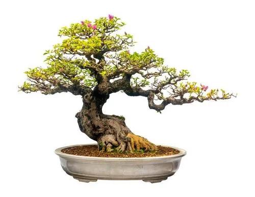 农村人如何能轻松年赚二十万,在农村怎么利用空余时间赚钱