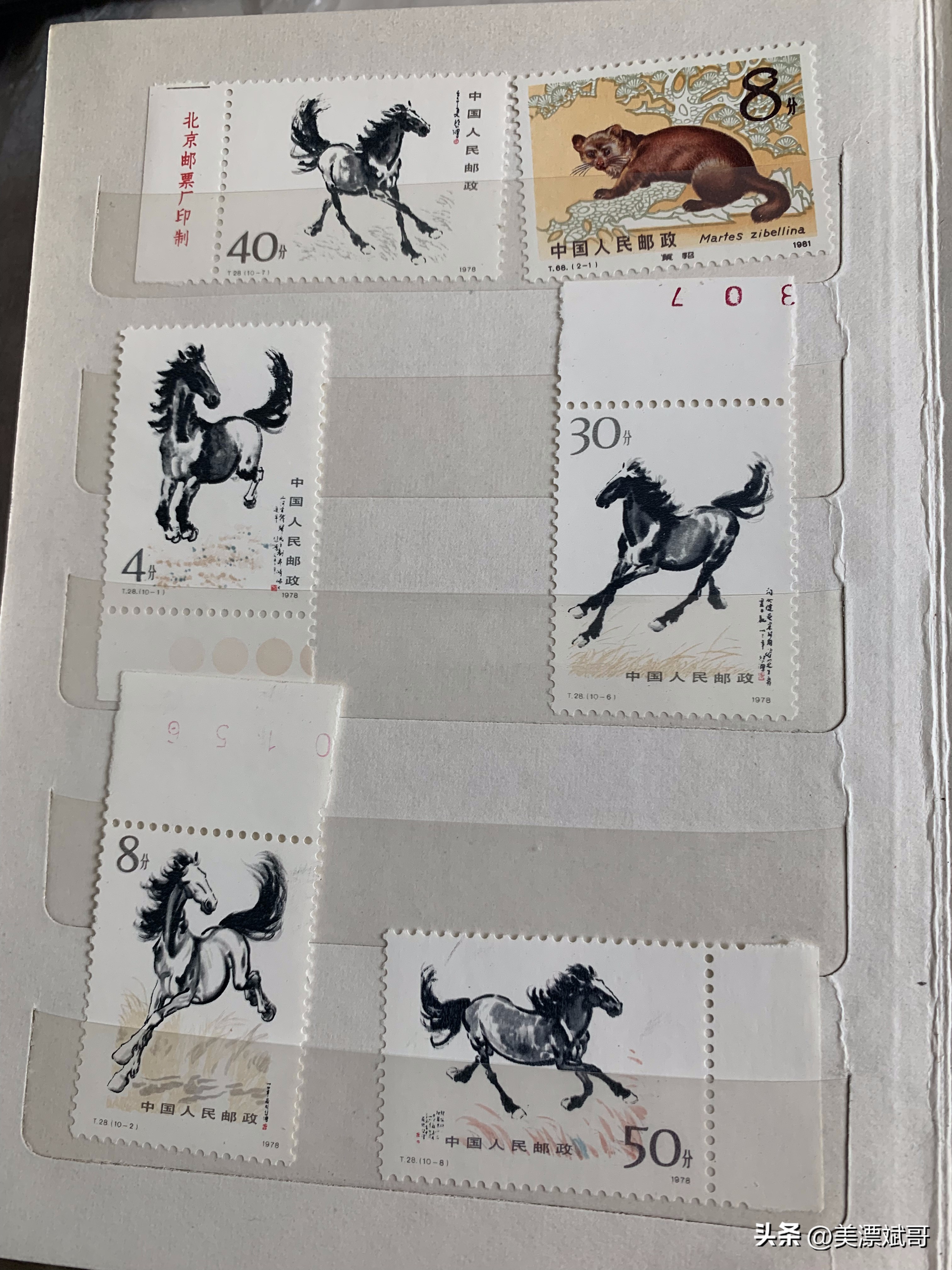 海淘绘本开箱,海淘购买开箱