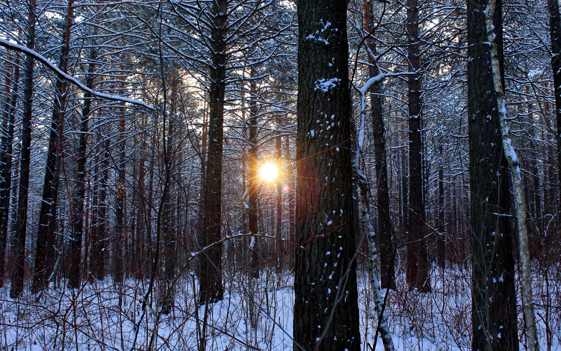 什么是脾胃虚泻,脾胃实寒