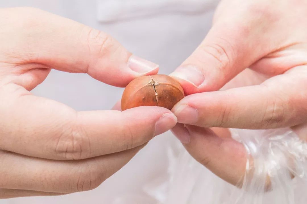 全国哪个地方的毛栗子最好吃,南京毛栗子