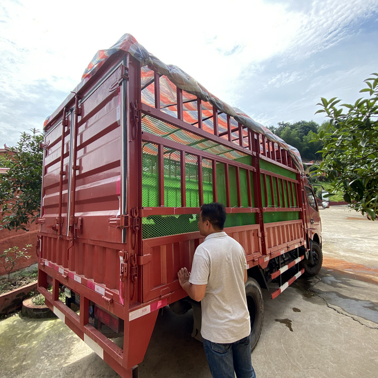 养黑山羊将满足顾客的哪些需求,放养黑山羊怎么才能做到规模化