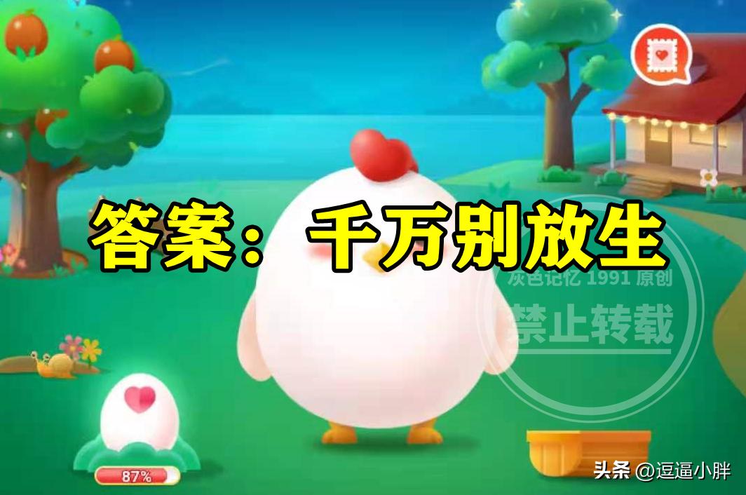 巴西龟放生需要准备什么,巴西龟如何放生注意事项