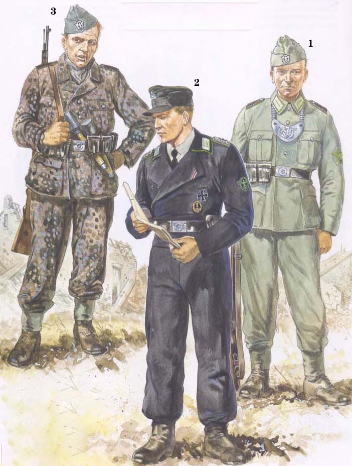 二战德国警察图册,二战德国部队图册大全