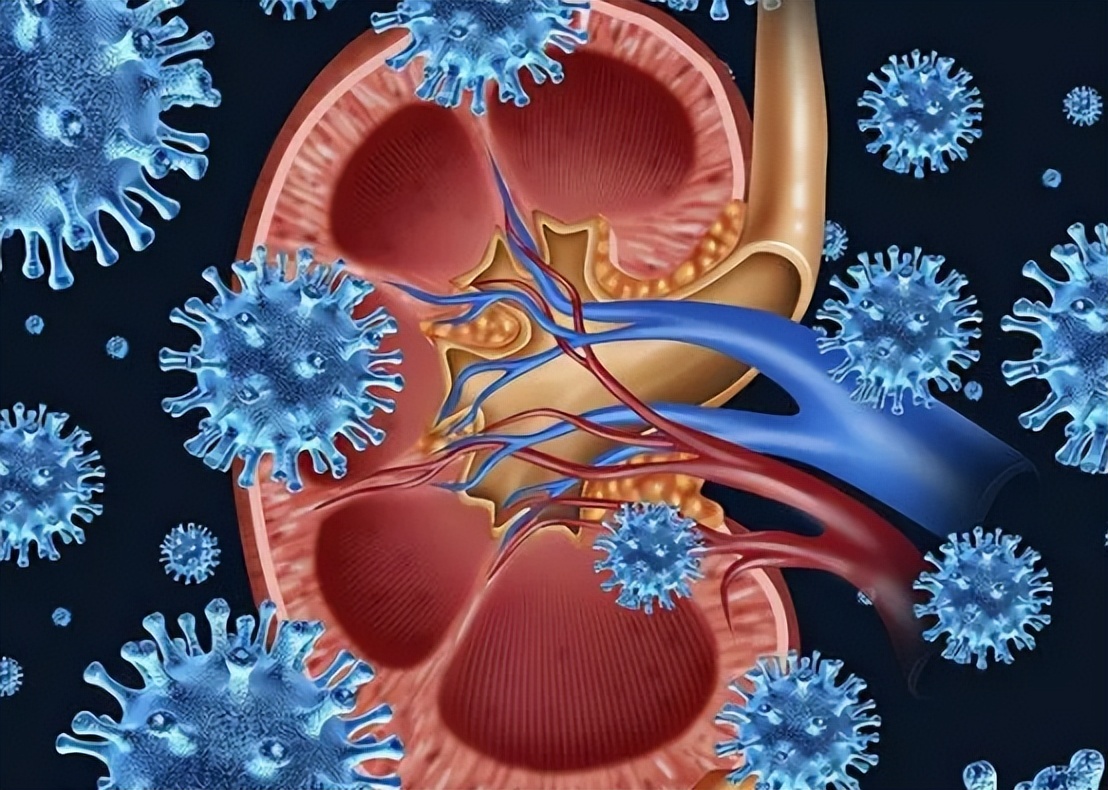 慢性病造成的肾脏伤害怎么治疗,自身免疫性疾病会引起哪些病