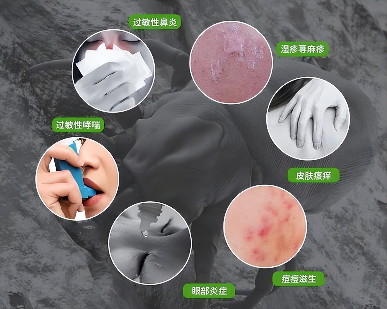 被子有异味不用洗不用晒教你一招,被子盖久了有异味教你一招除异味