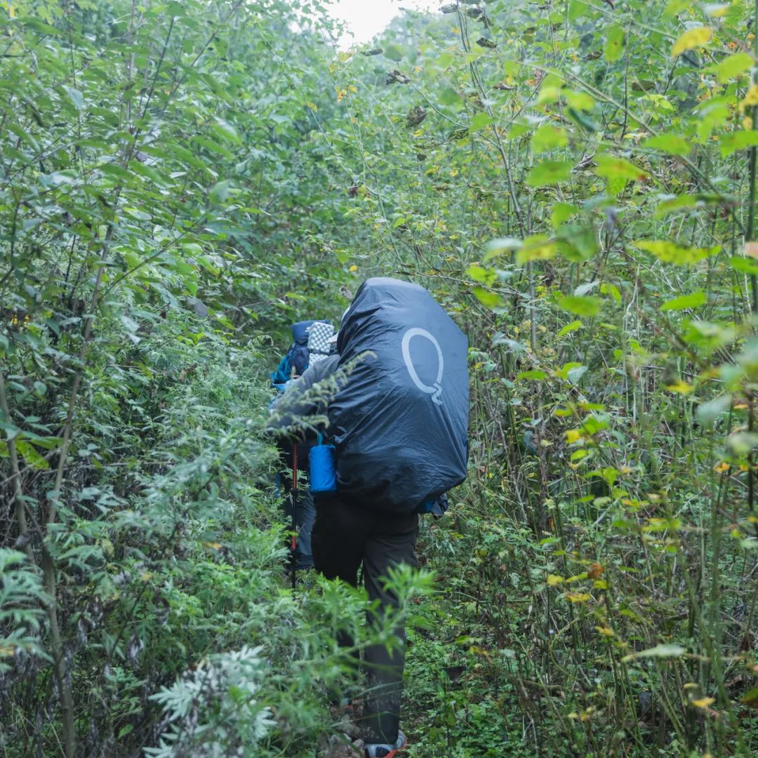 太白山是陕西最高点吗,秦岭最高峰太白山