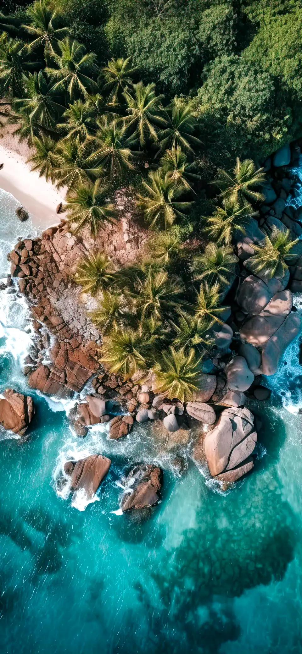 看遍世界风景的句子,世界风景视频