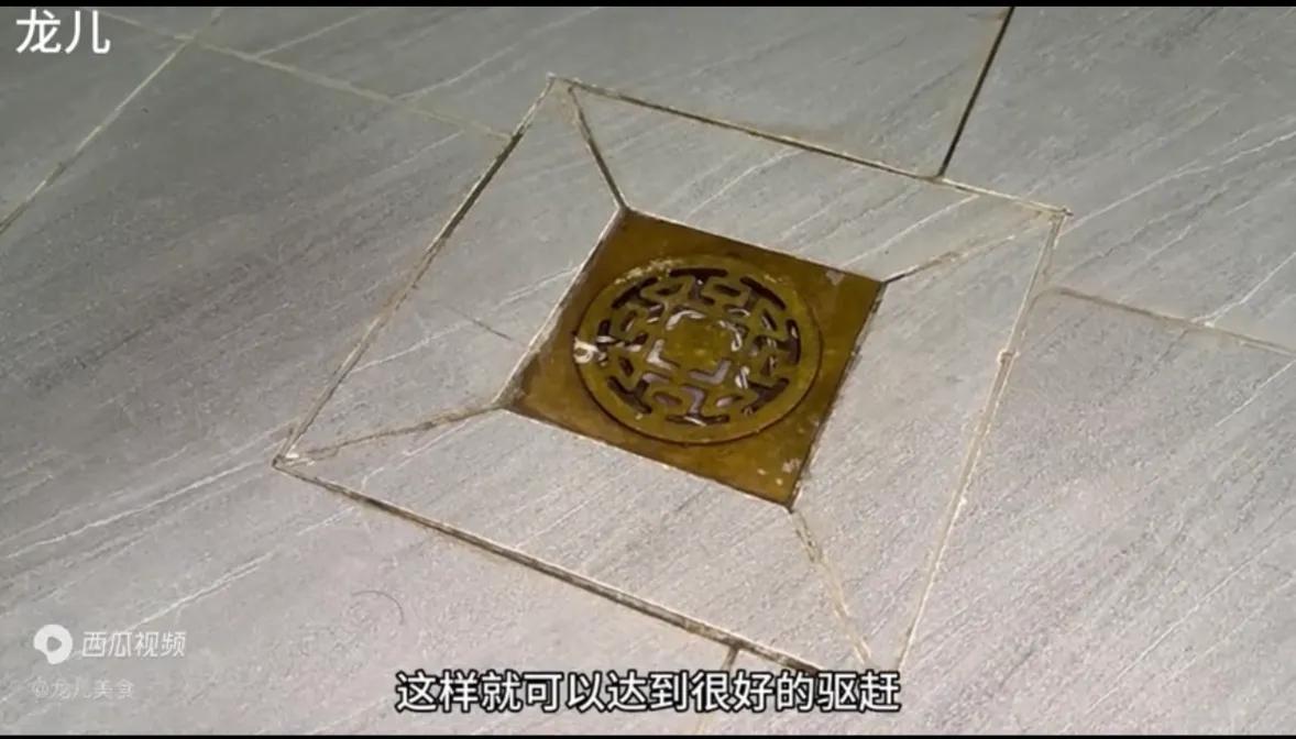 没用完的肥皂放卫生间,香皂可以消灭小飞虫吗